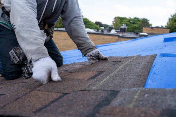 Best Solar Panel Roofing Installation  in Shreve, OH